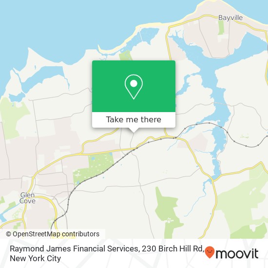 Mapa de Raymond James Financial Services, 230 Birch Hill Rd