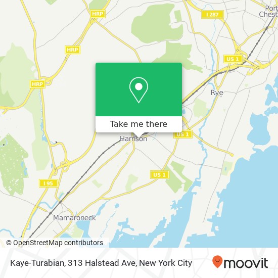 Mapa de Kaye-Turabian, 313 Halstead Ave