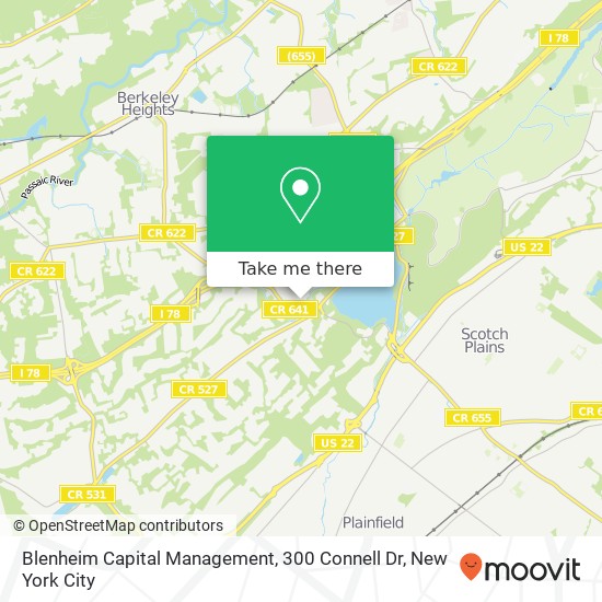 Mapa de Blenheim Capital Management, 300 Connell Dr