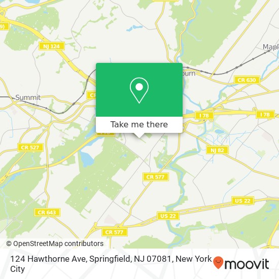 Mapa de 124 Hawthorne Ave, Springfield, NJ 07081