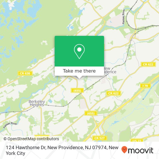 Mapa de 124 Hawthorne Dr, New Providence, NJ 07974