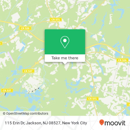 Mapa de 115 Erin Dr, Jackson, NJ 08527