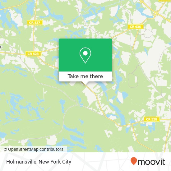 Holmansville map