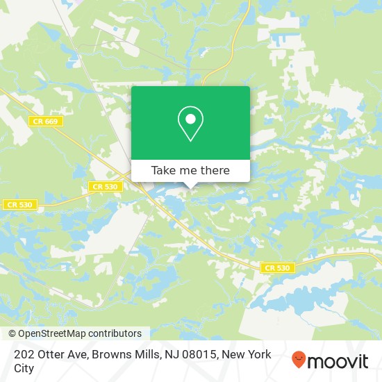 Mapa de 202 Otter Ave, Browns Mills, NJ 08015