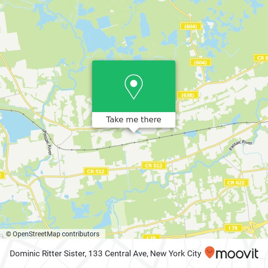 Mapa de Dominic Ritter Sister, 133 Central Ave