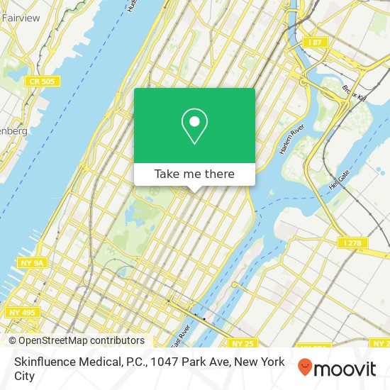 Mapa de Skinfluence Medical, P.C., 1047 Park Ave