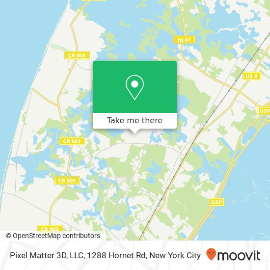 Pixel Matter 3D, LLC, 1288 Hornet Rd map