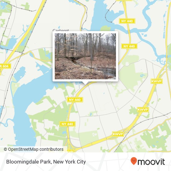 Mapa de Bloomingdale Park