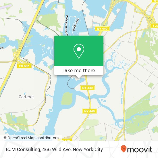 Mapa de BJM Consulting, 466 Wild Ave
