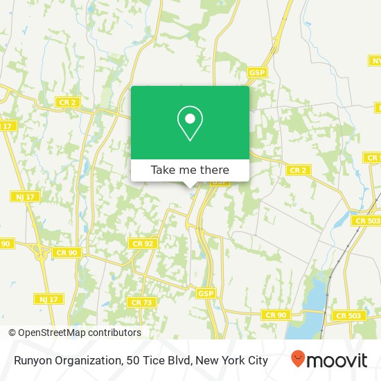 Mapa de Runyon Organization, 50 Tice Blvd