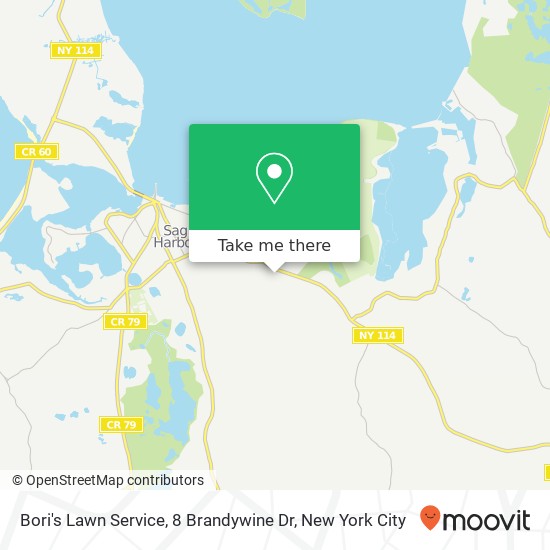 Mapa de Bori's Lawn Service, 8 Brandywine Dr