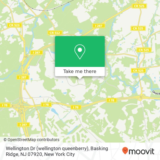 Wellington Dr (wellington queenberry), Basking Ridge, NJ 07920 map