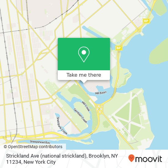 Strickland Ave (national strickland), Brooklyn, NY 11234 map