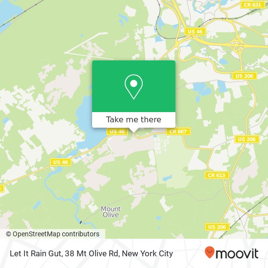 Mapa de Let It Rain Gut, 38 Mt Olive Rd