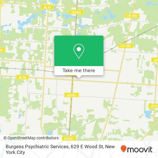 Mapa de Burgess Psychiatric Services, 629 E Wood St