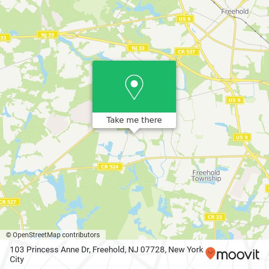 103 Princess Anne Dr, Freehold, NJ 07728 map