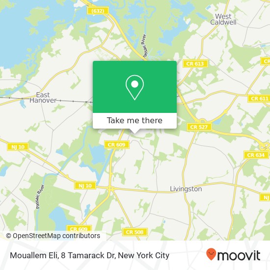 Mapa de Mouallem Eli, 8 Tamarack Dr