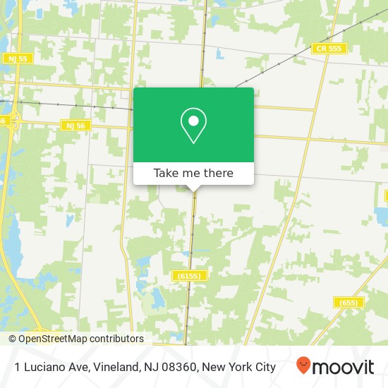 Mapa de 1 Luciano Ave, Vineland, NJ 08360
