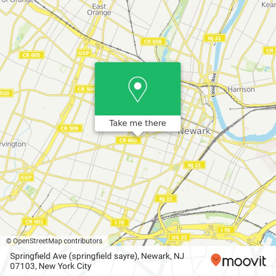 Mapa de Springfield Ave (springfield sayre), Newark, NJ 07103