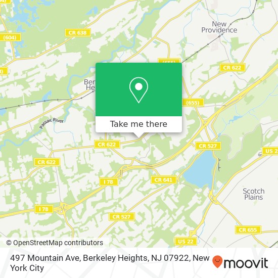Mapa de 497 Mountain Ave, Berkeley Heights, NJ 07922