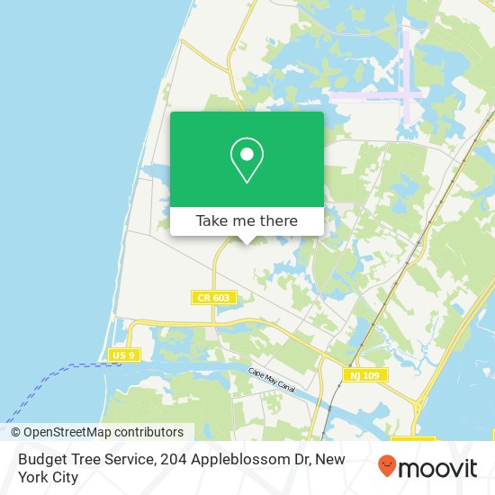 Budget Tree Service, 204 Appleblossom Dr map