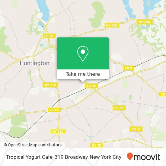 Tropical Yogurt Cafe, 319 Broadway map