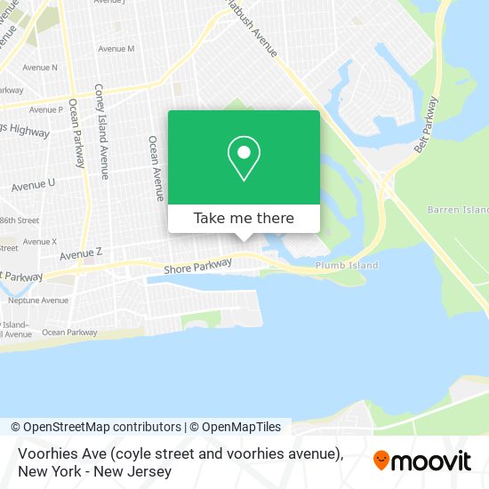 Voorhies Ave (coyle street and voorhies avenue) map