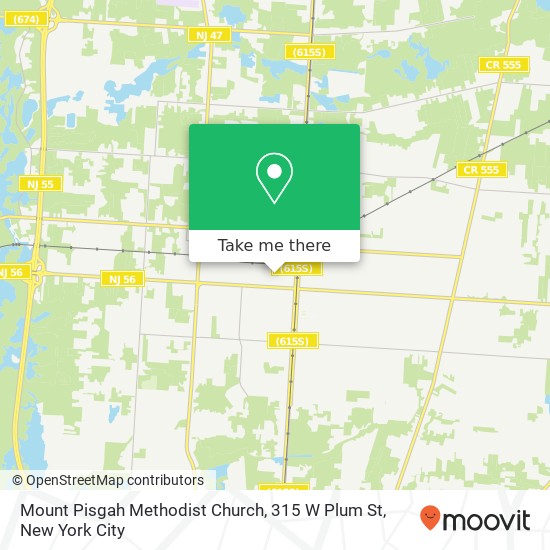 Mapa de Mount Pisgah Methodist Church, 315 W Plum St