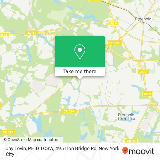 Jay Levin, PH.D, LCSW, 495 Iron Bridge Rd map