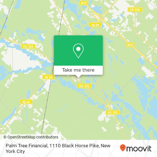 Mapa de Palm Tree Financial, 1110 Black Horse Pike