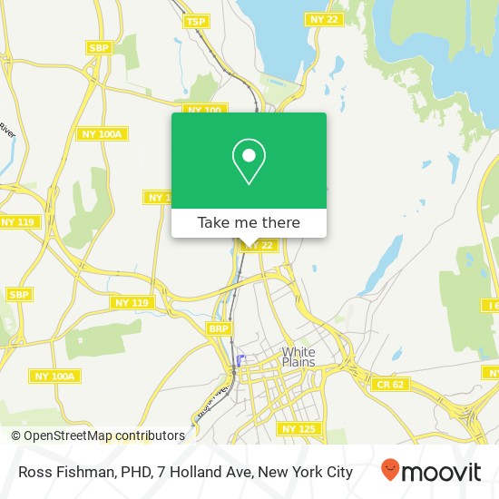 Ross Fishman, PHD, 7 Holland Ave map
