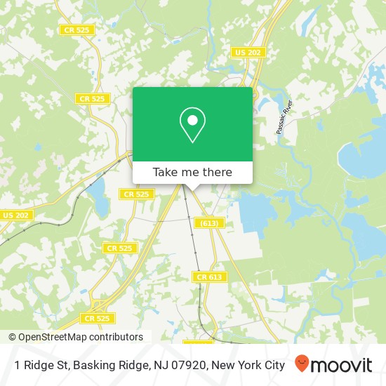 1 Ridge St, Basking Ridge, NJ 07920 map