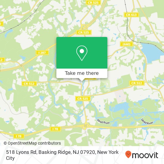 518 Lyons Rd, Basking Ridge, NJ 07920 map