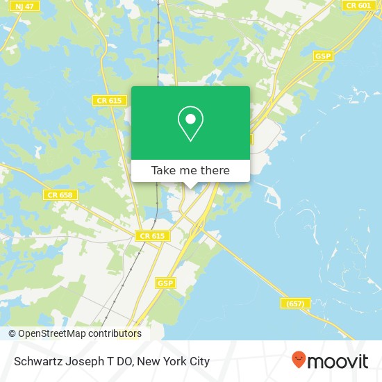 Mapa de Schwartz Joseph T DO