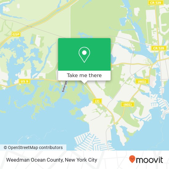 Weedman Ocean County map