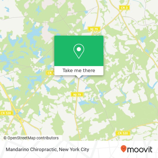 Mandarino Chiropractic map