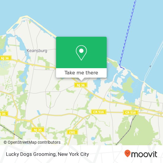 Mapa de Lucky Dogs Grooming