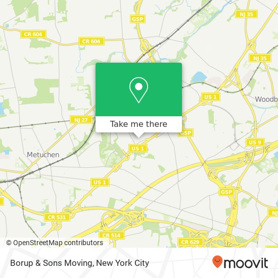 Borup & Sons Moving map