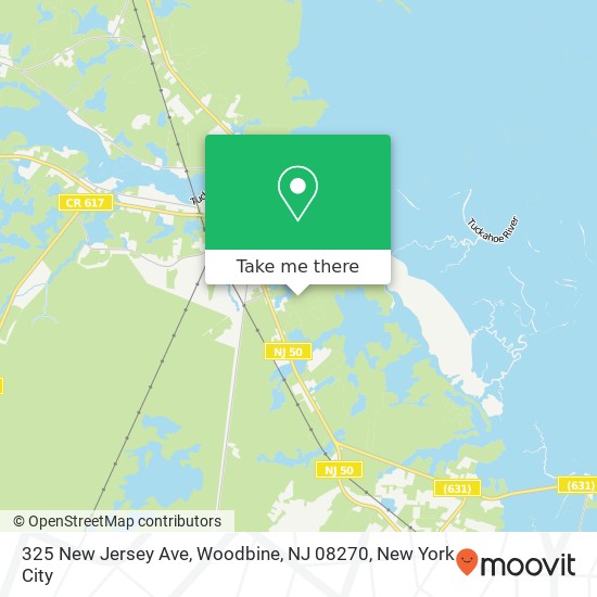 Mapa de 325 New Jersey Ave, Woodbine, NJ 08270