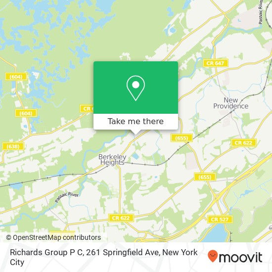 Mapa de Richards Group P C, 261 Springfield Ave