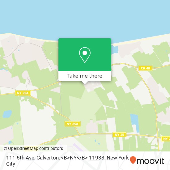 Mapa de 111 5th Ave, Calverton, <B>NY< / B> 11933