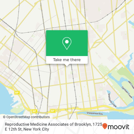 Mapa de Reproductive Medicine Associates of Brooklyn, 1725 E 12th St