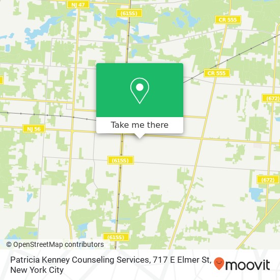 Patricia Kenney Counseling Services, 717 E Elmer St map