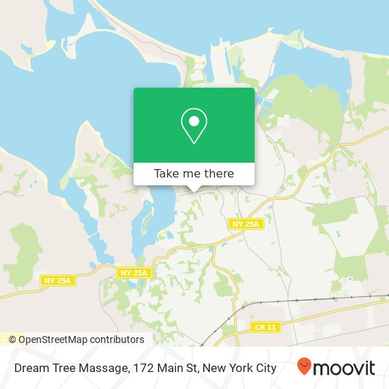 Mapa de Dream Tree Massage, 172 Main St