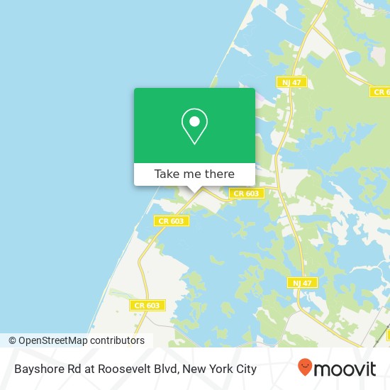 Mapa de Bayshore Rd at Roosevelt Blvd