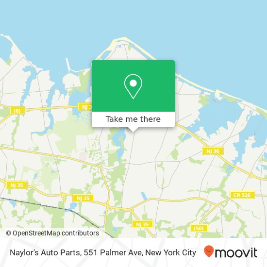 Mapa de Naylor's Auto Parts, 551 Palmer Ave