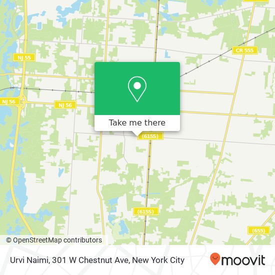 Mapa de Urvi Naimi, 301 W Chestnut Ave