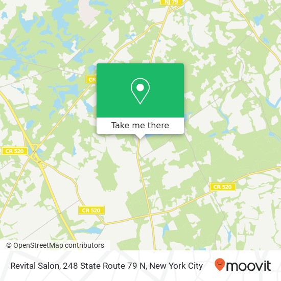 Mapa de Revital Salon, 248 State Route 79 N