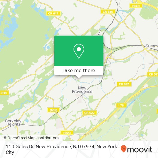 Mapa de 110 Gales Dr, New Providence, NJ 07974