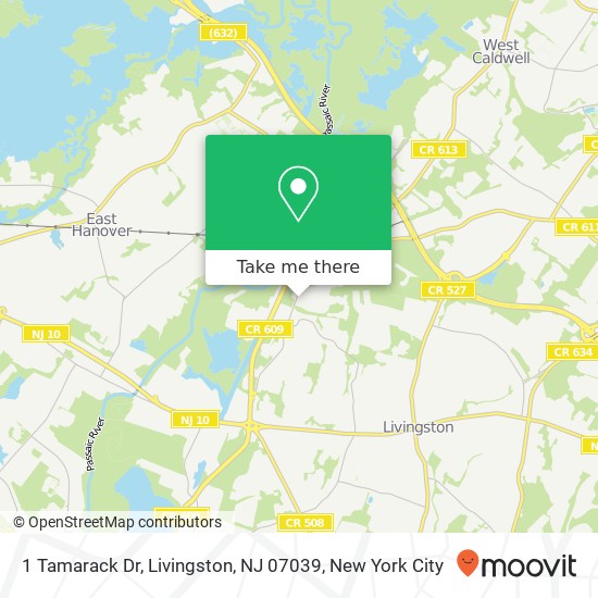 Mapa de 1 Tamarack Dr, Livingston, NJ 07039